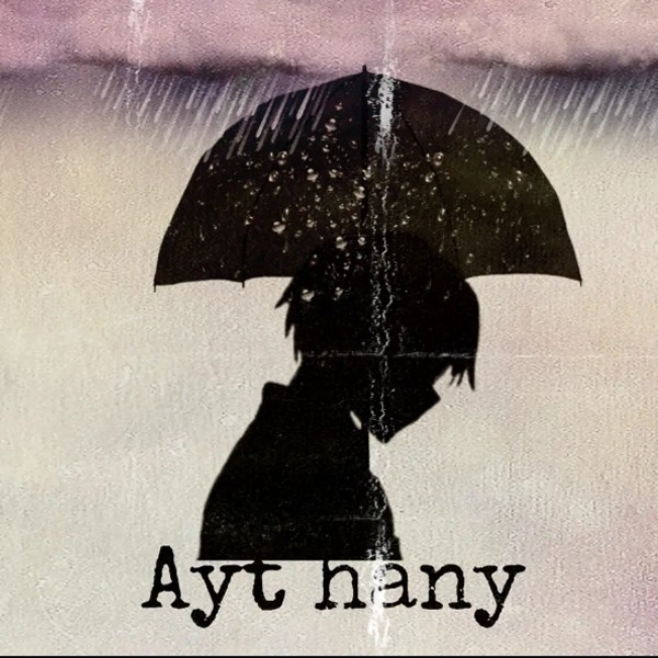 NB-Ayt hany kapak görseli