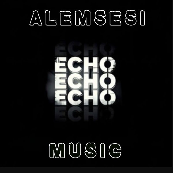 Näme üçin sen däl (Echo) kapak görseli