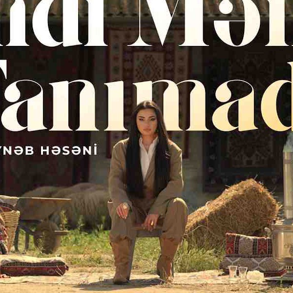 Zeynəb Həsəni - İndi Məni Tanımadı (Azeri) kapak görseli