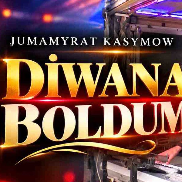 Diwana boldum kapak görseli
